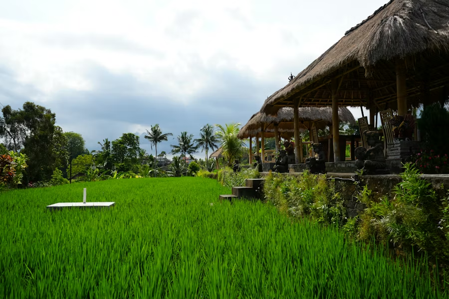 Bali Retreat 4